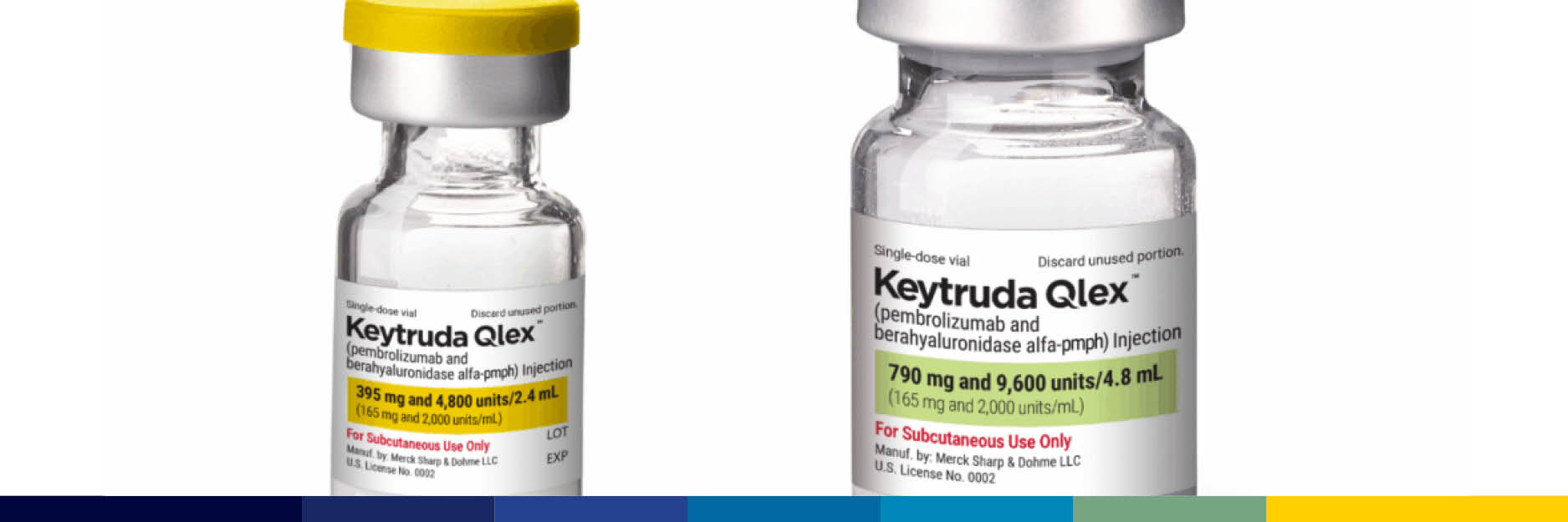 FDA Approved Keytruda Qlex to Offset Original Drug's Patent Expiration in 2028 hero image